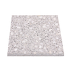  Anti-Slip and Environment-Friendly Terrazzo Tiles for Public safety Flooring 2013