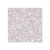  Anti-Slip and Environment-Friendly Terrazzo Tiles for Public safety Flooring 2013