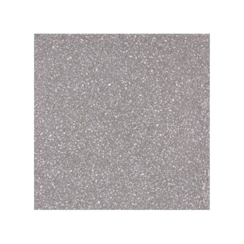 Gray terrazzo floor tiles with small stone particles 2001